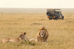 Maasai Mara National reserve